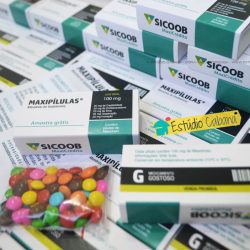 Caixinha Dose de Sucesso